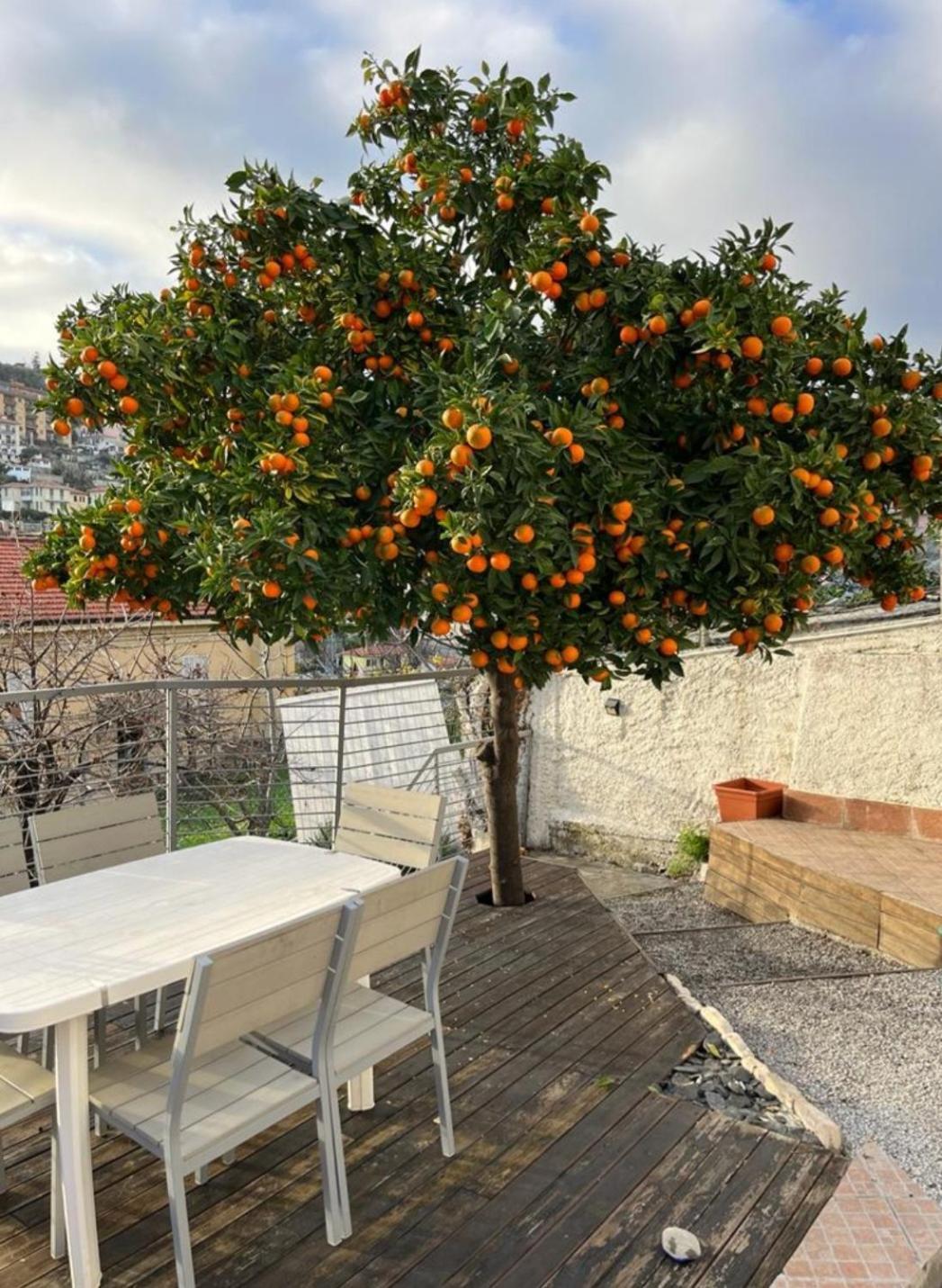 Villetta Fioregreco Sanremo Ngoại thất bức ảnh